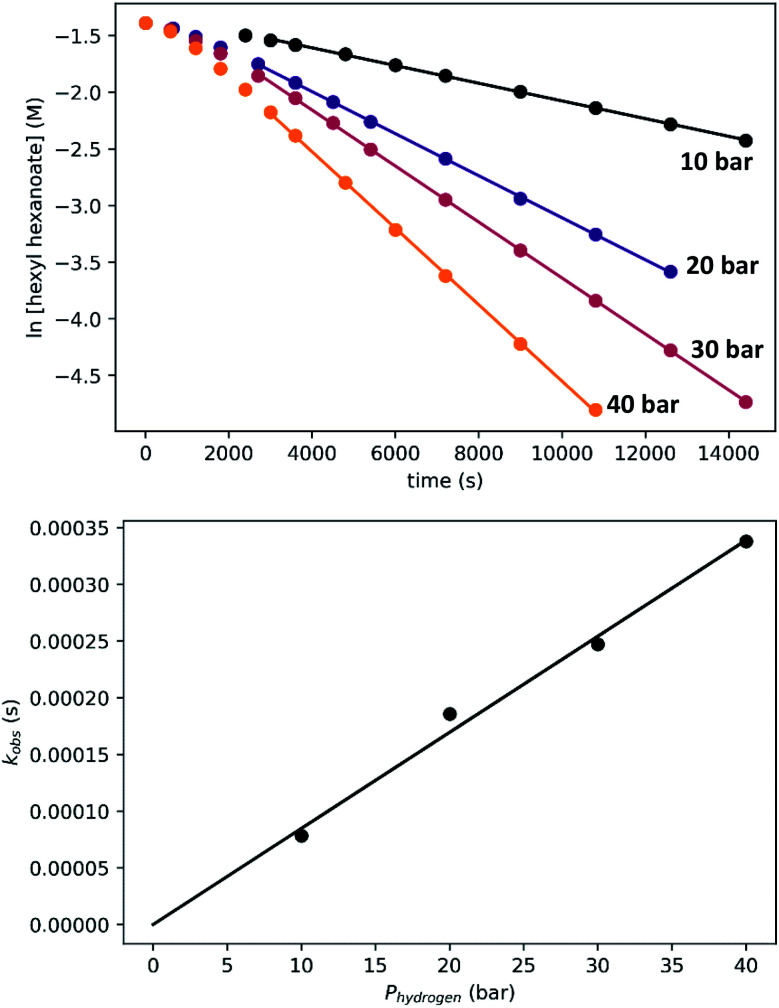 Fig. 10