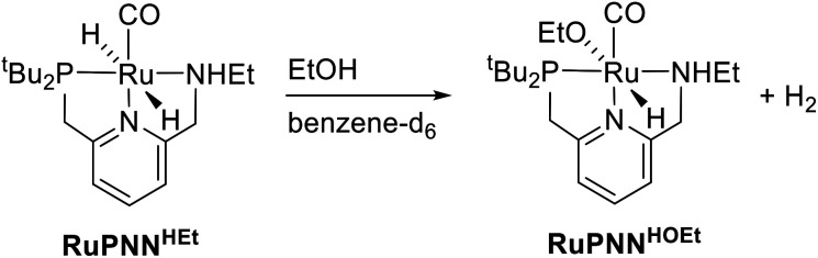 Scheme 6