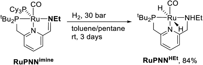 Scheme 5