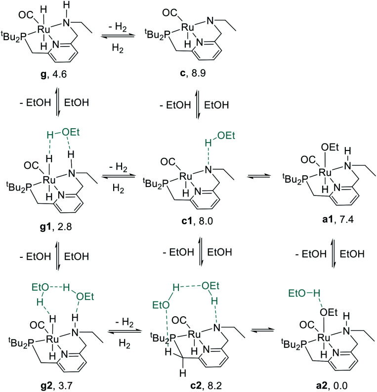 Scheme 4