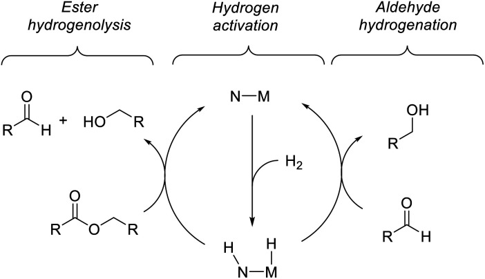 Scheme 3