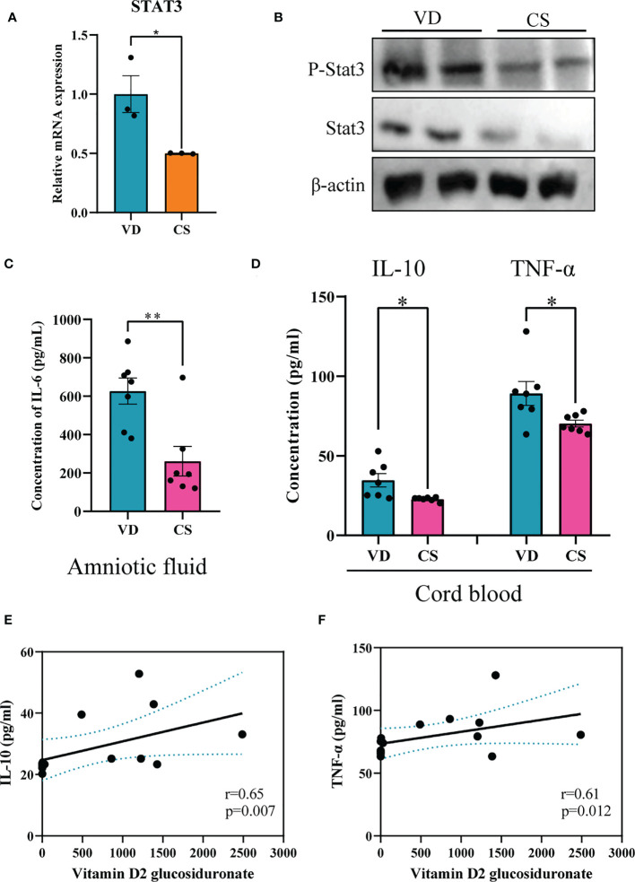 Figure 7