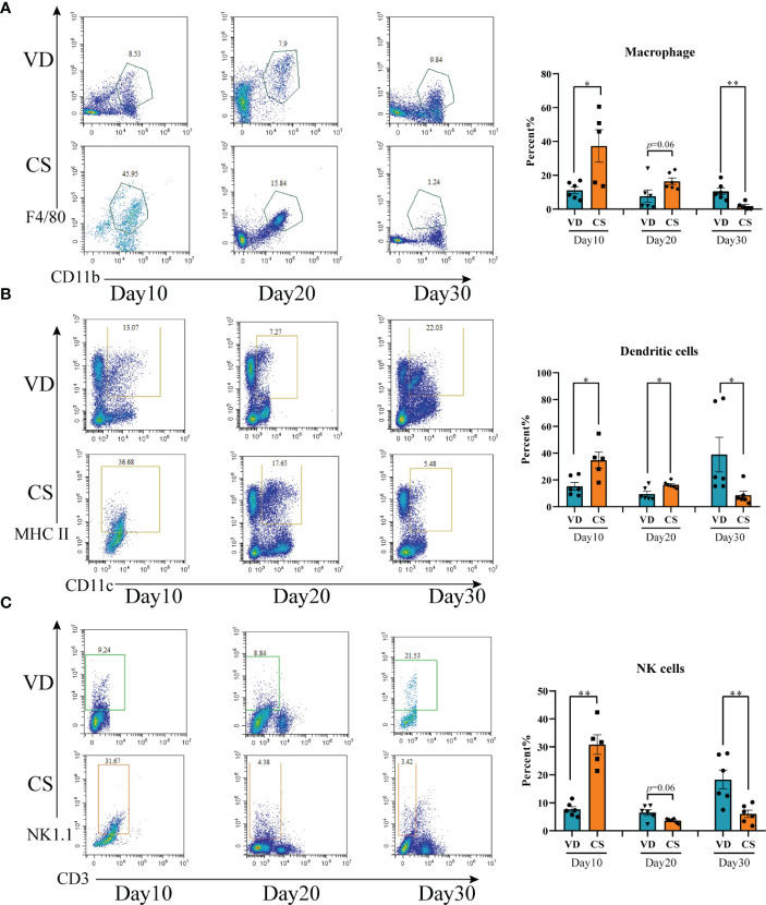 Figure 3