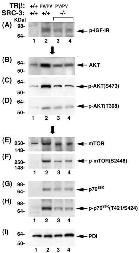 FIG. 9.