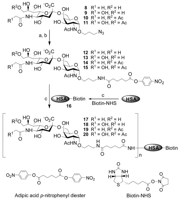 Scheme 2