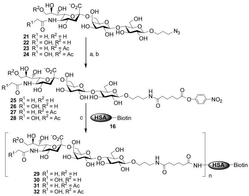 Scheme 3