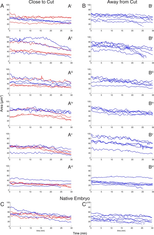 FIGURE 7: