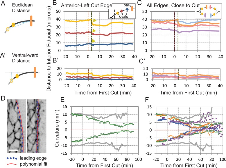 FIGURE 4: