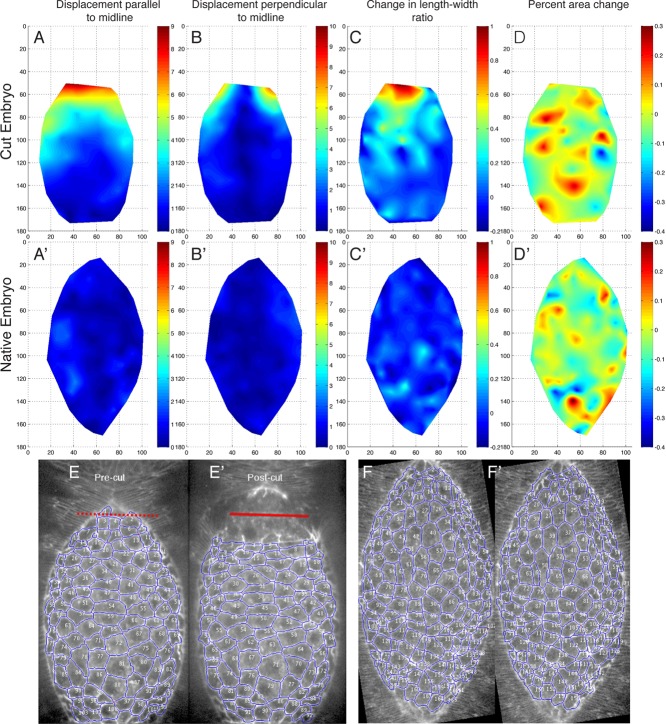 FIGURE 5: