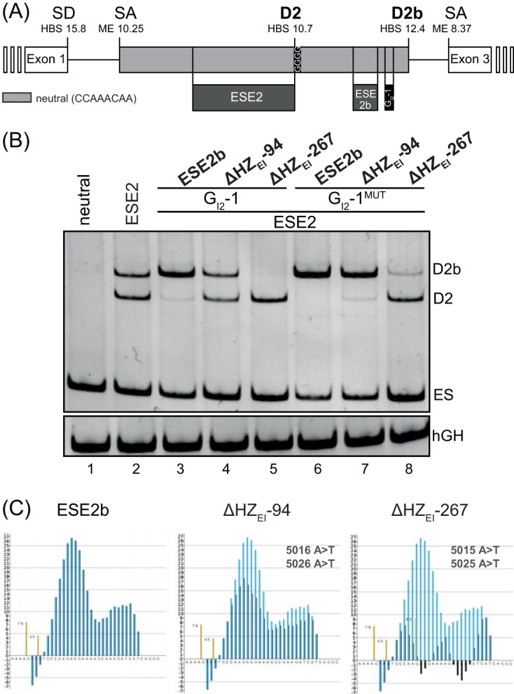 FIG 2