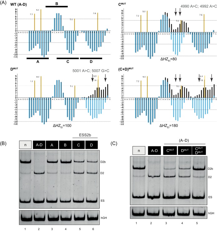 FIG 3