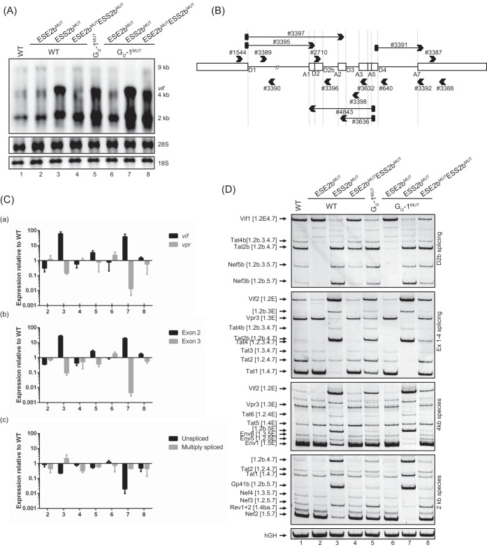 FIG 4