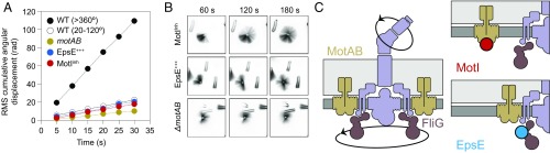 Fig. 3.