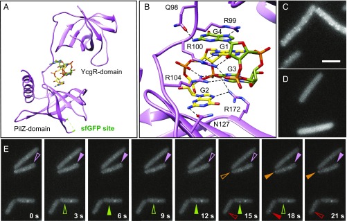 Fig. 4.