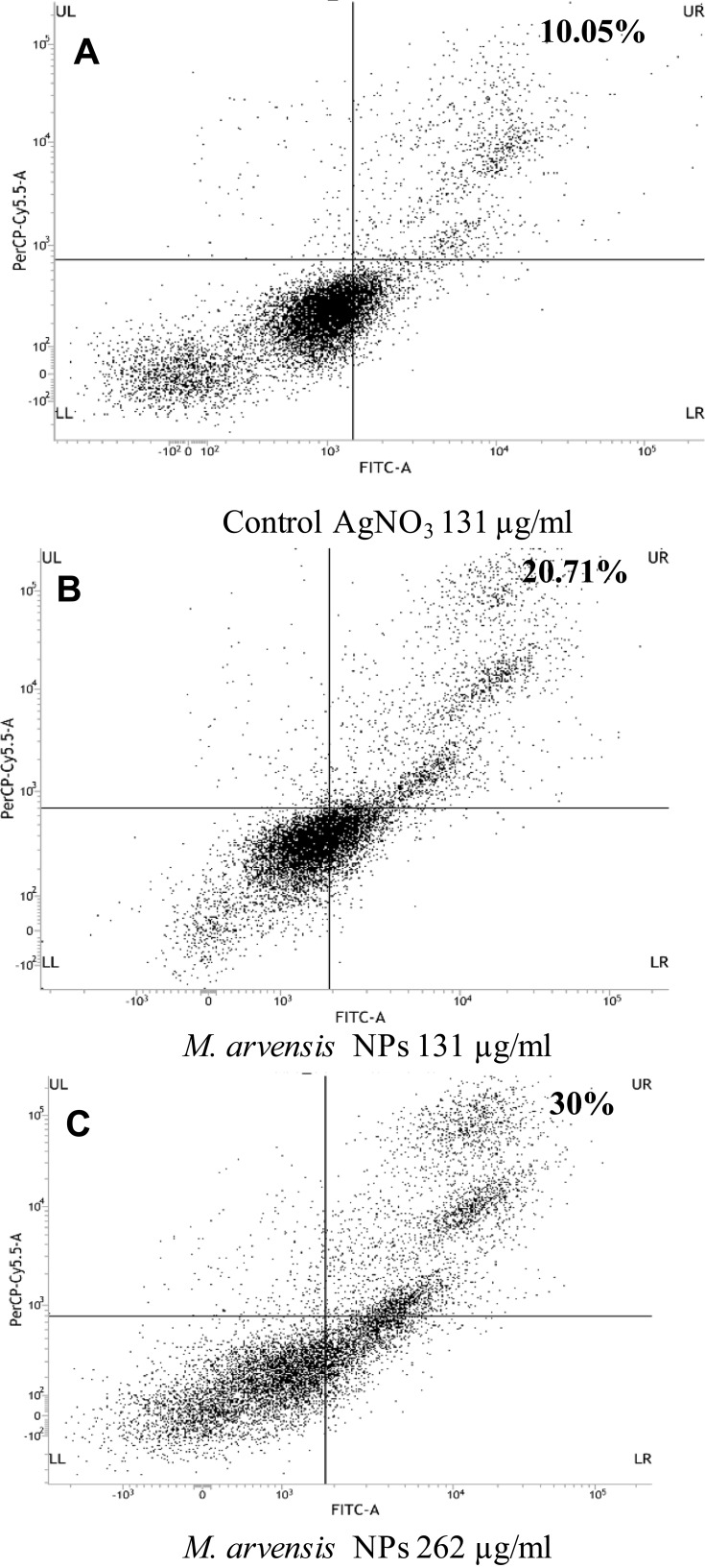 Figure 11