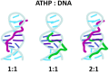 Graphical Abstract