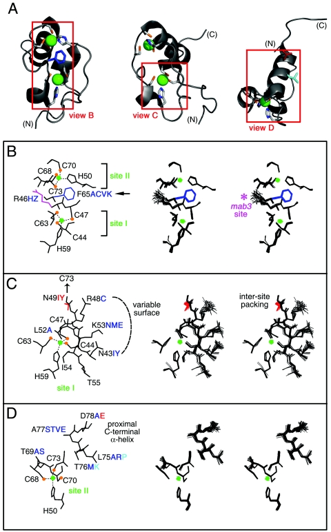 FIG. 11.