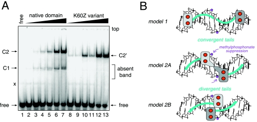 FIG. 10.