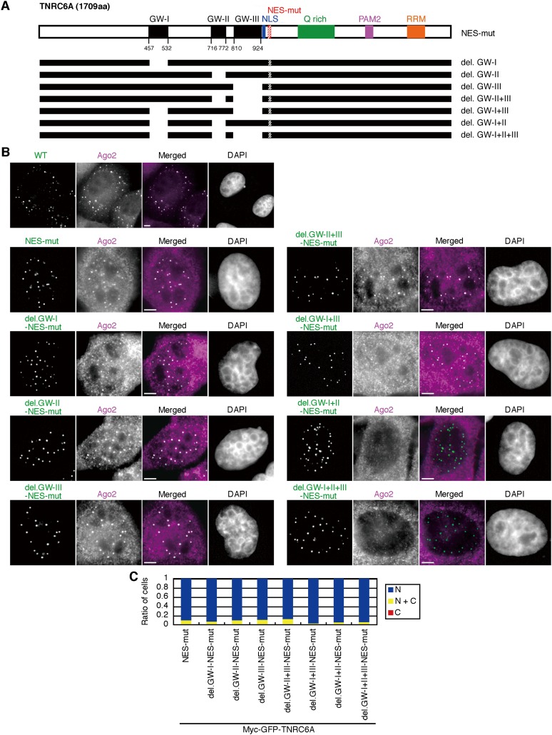 FIGURE 4.