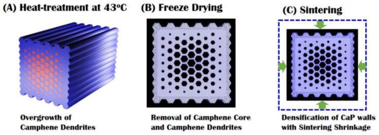 Figure 11