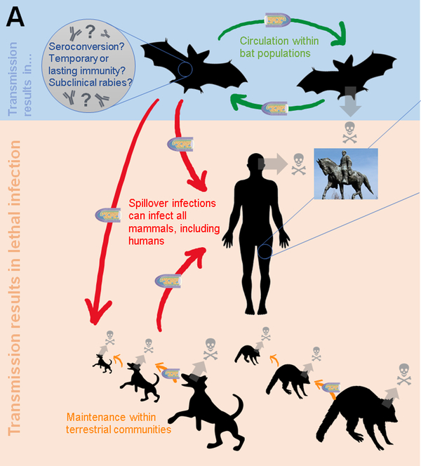 Figure 2: