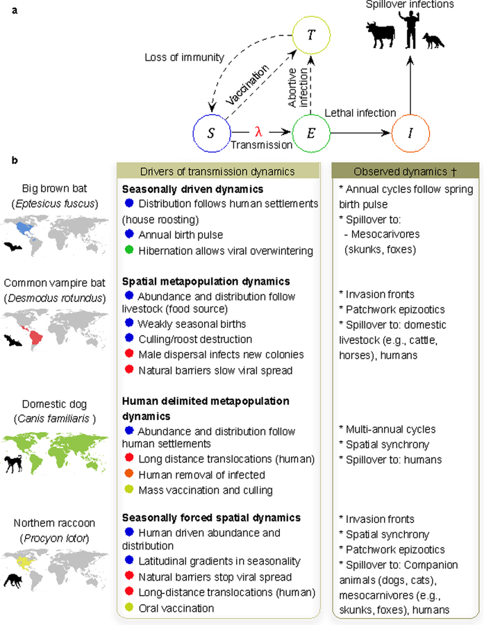 Figure 4: