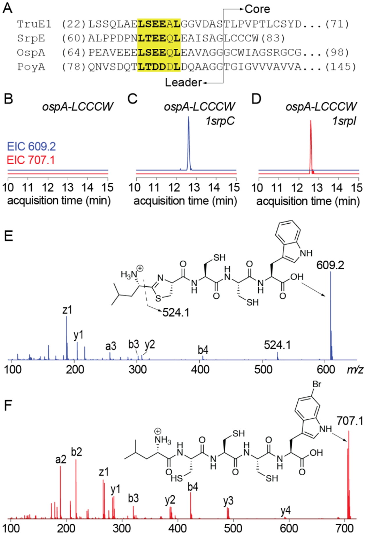 Fig. 6.