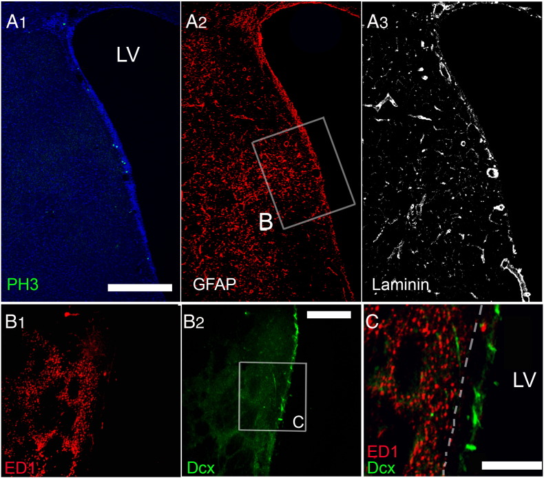 Fig. 7