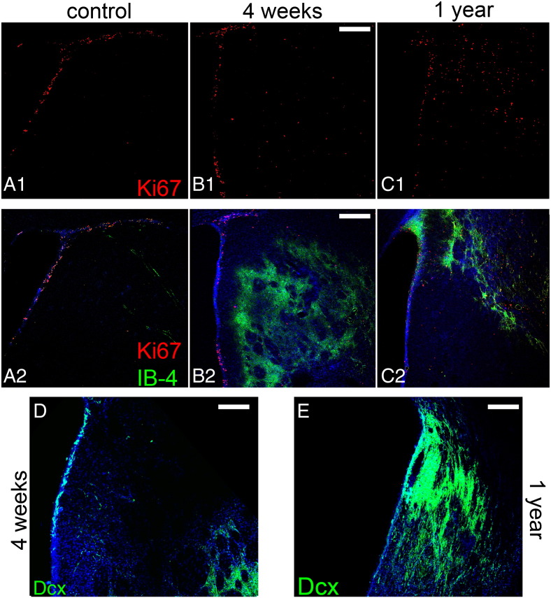 Fig. S1