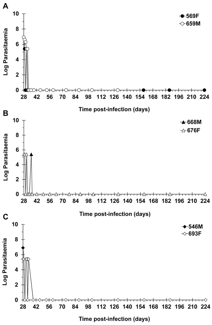 Fig 4