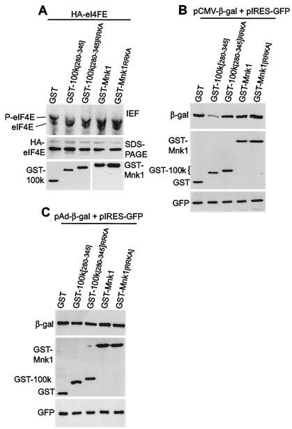 FIG. 6.