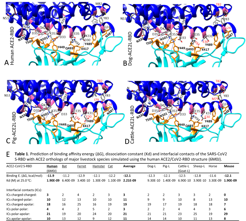 Figure 3