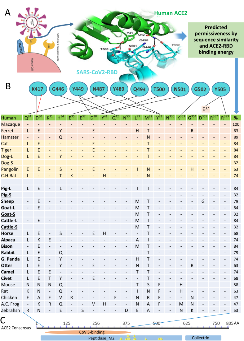 Figure 2