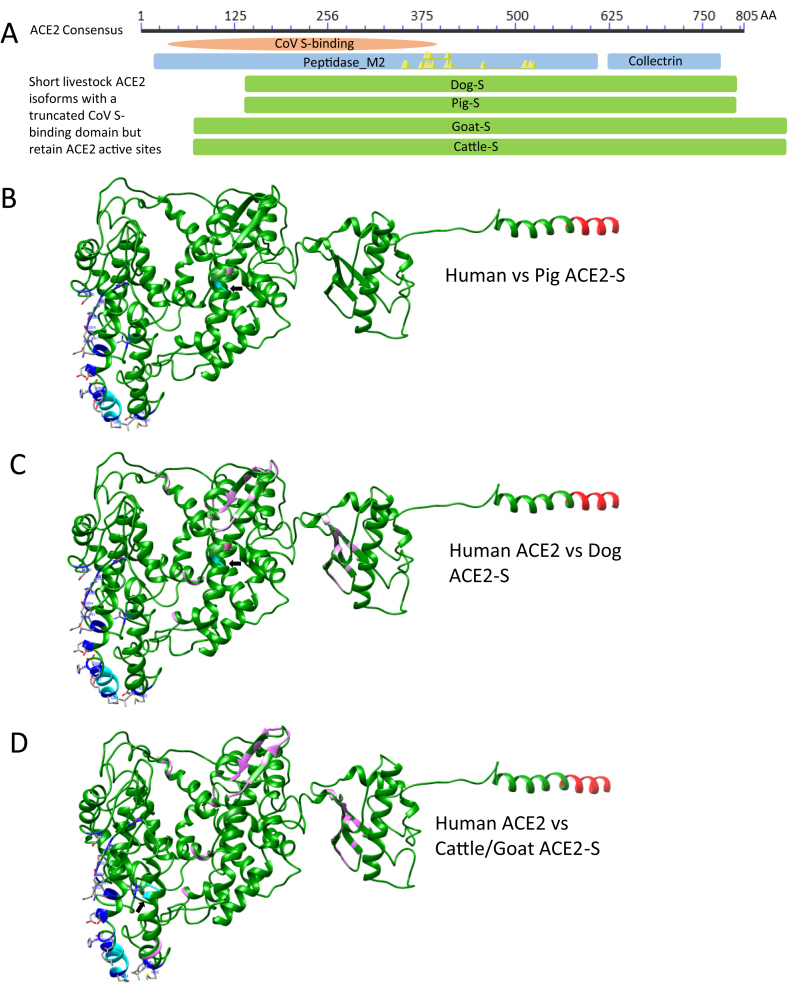 Figure 4