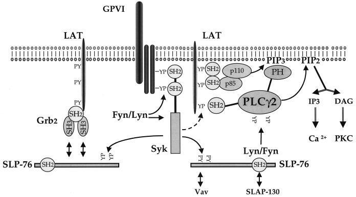 FIG. 8