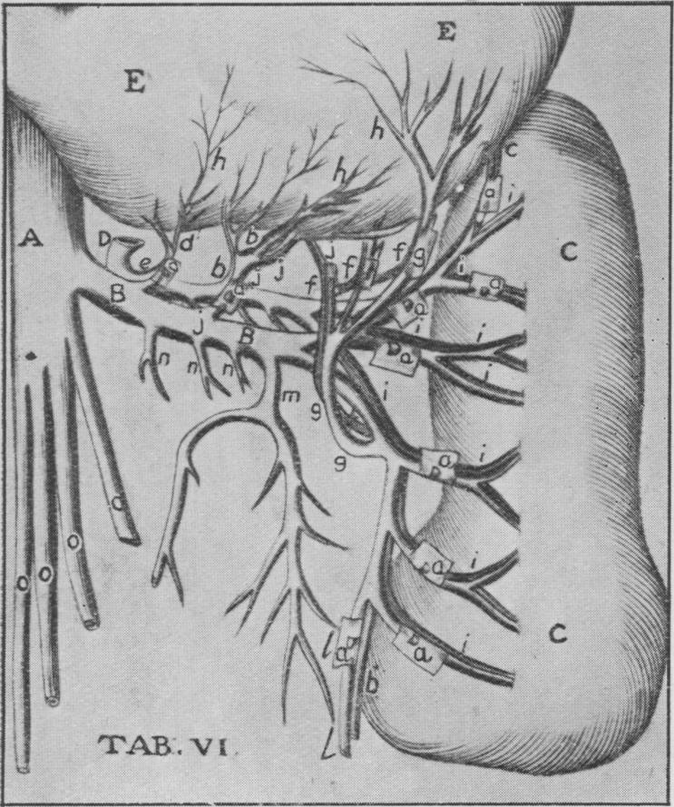 Fig. 11