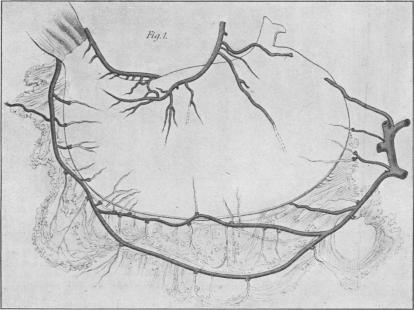 Fig. 17