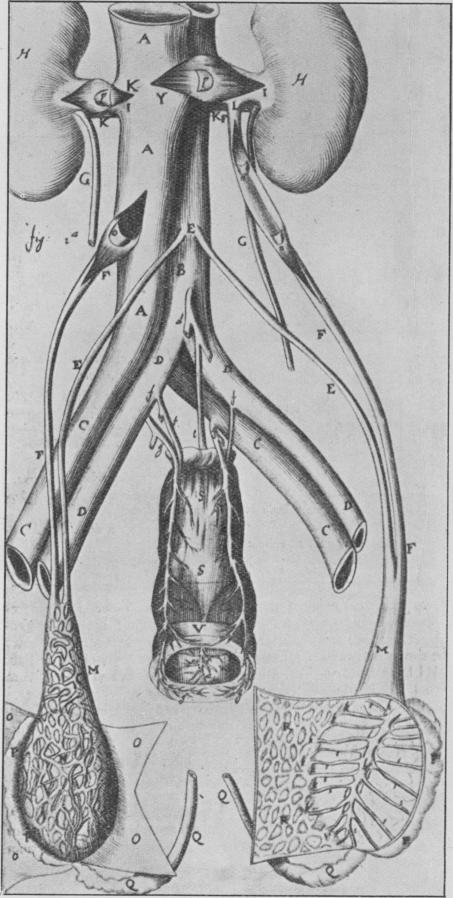 Fig. 13