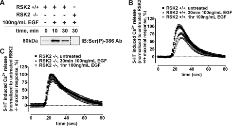 FIGURE 9.