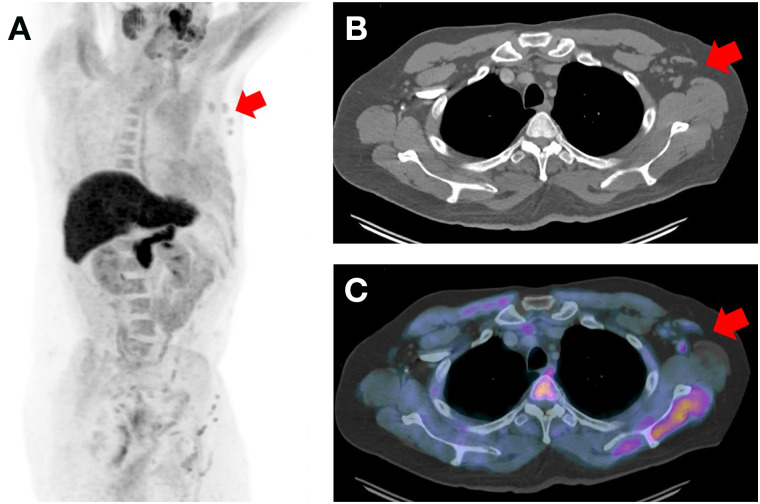 FIGURE 1.