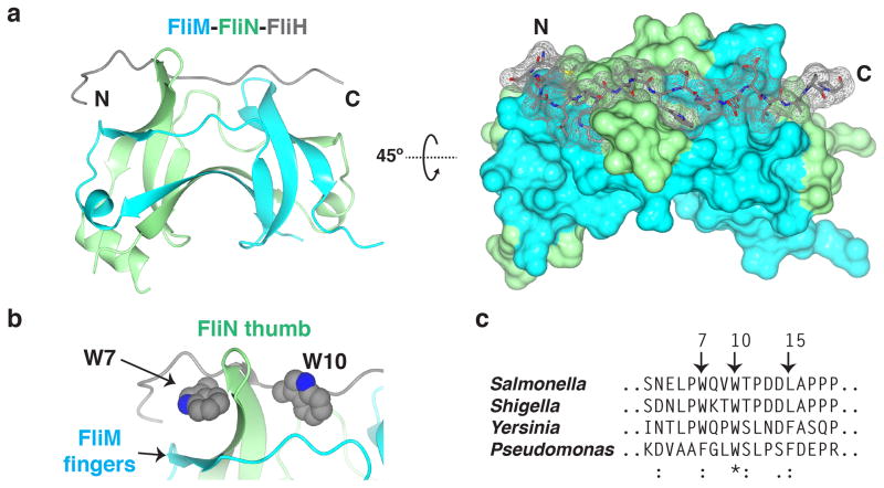 Figure 7