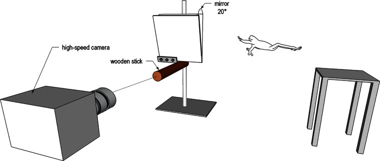 Fig. 2