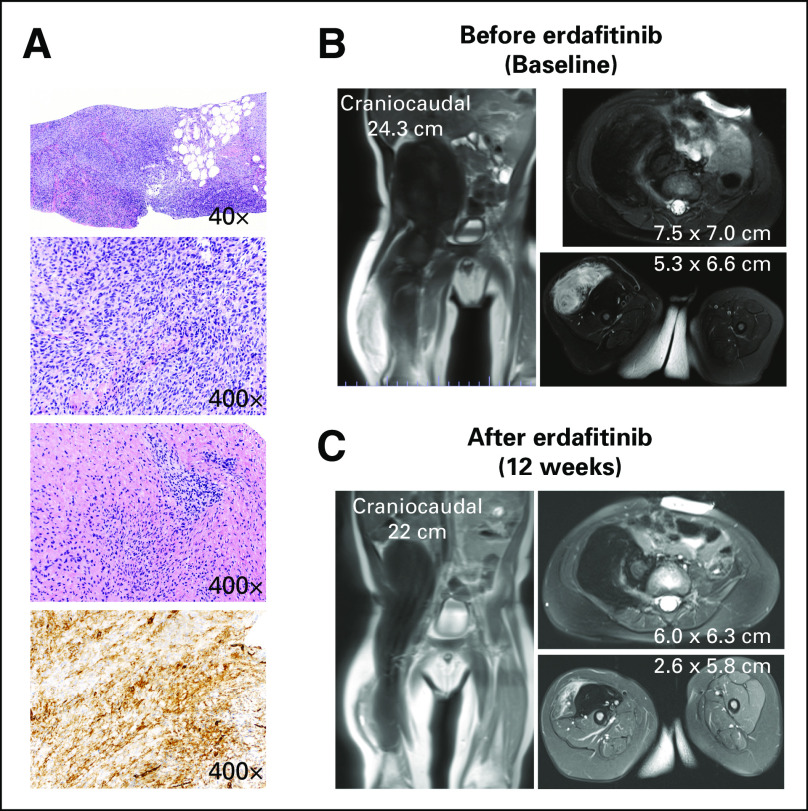 FIG 3.