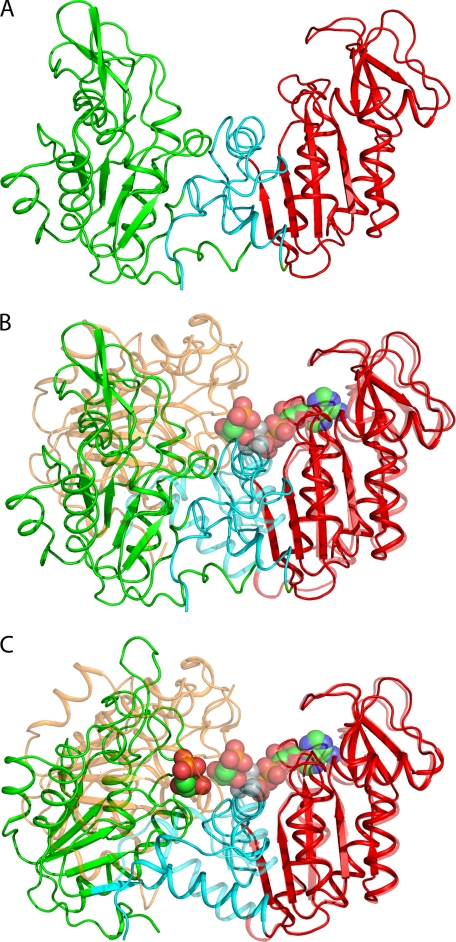 FIGURE 2.