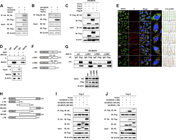 FIG 4