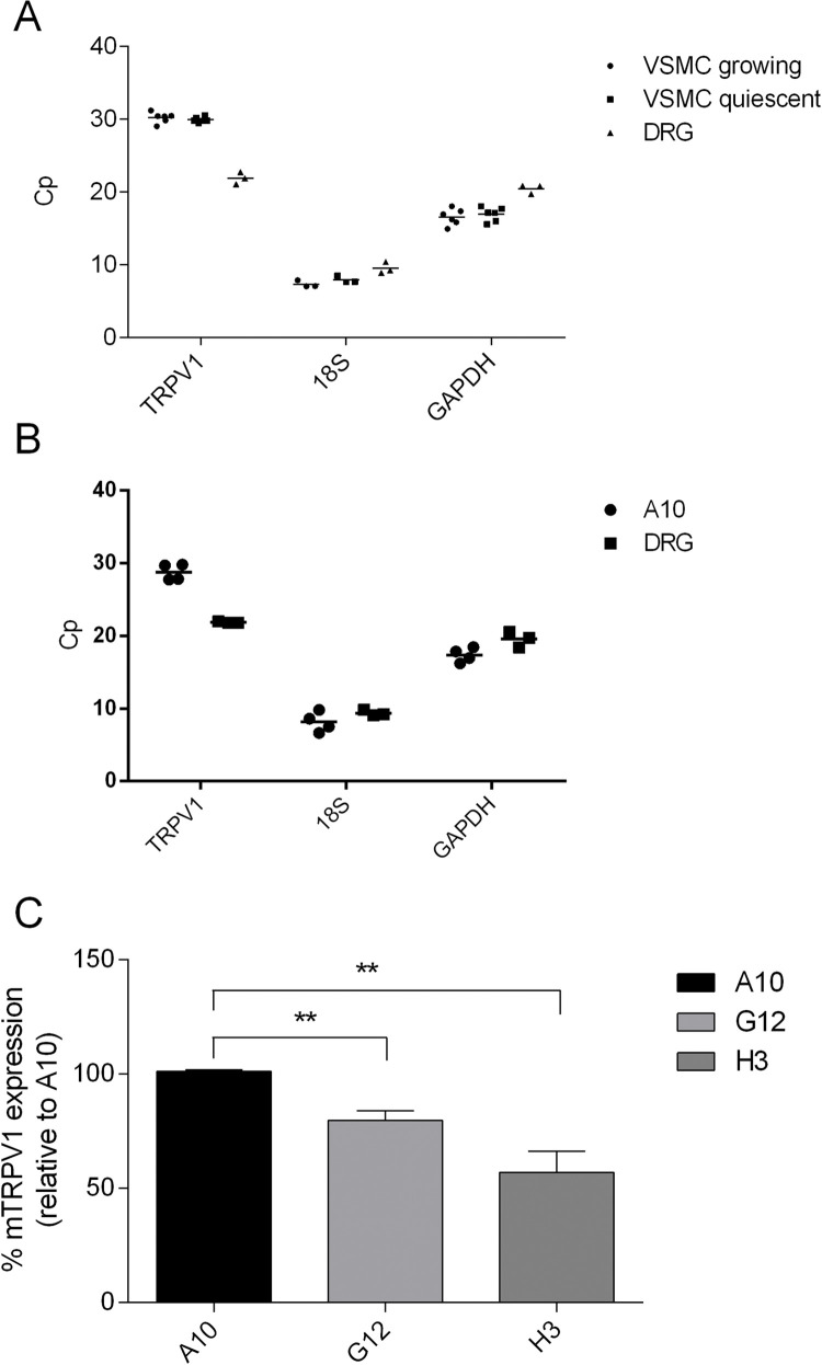 Fig 5