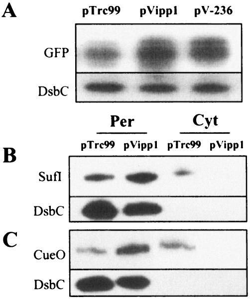 FIG. 5.