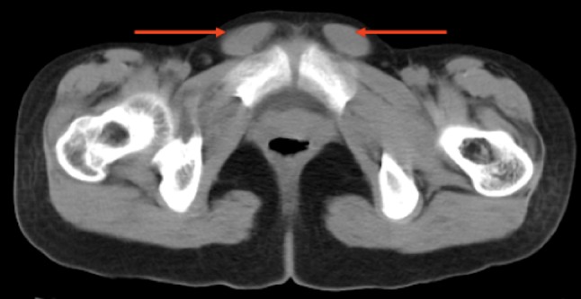 Fig. 5
