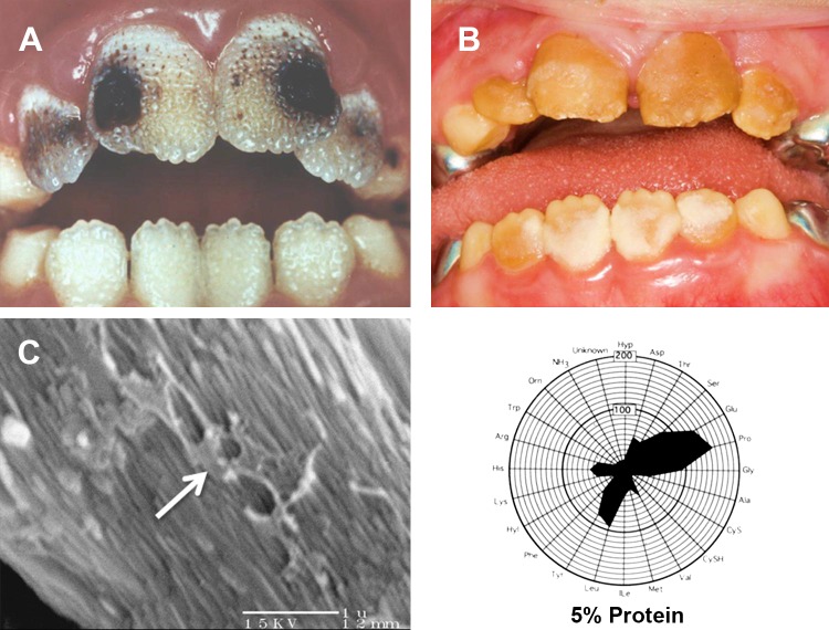 FIGURE 18.