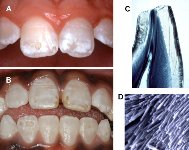 FIGURE 15.